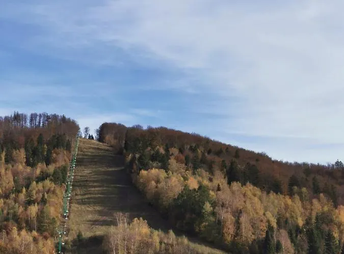 Hearth Hill View Apartmán Ustroň