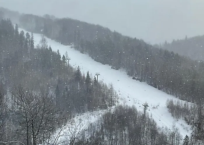 Apartmán Hearth Hill View