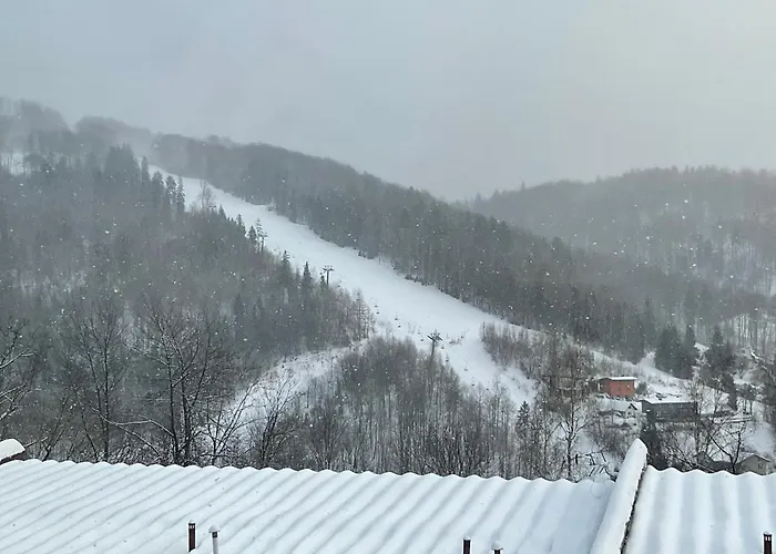 Hearth Hill View Apartmán